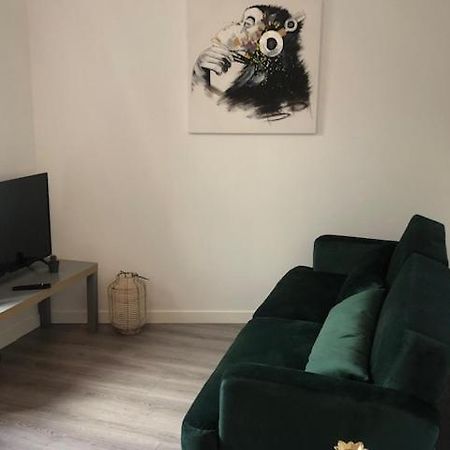 Un Coin De Verdure Dans Le Centre De St Etienne Apartment แซงต์-เอเตียน ภายนอก รูปภาพ