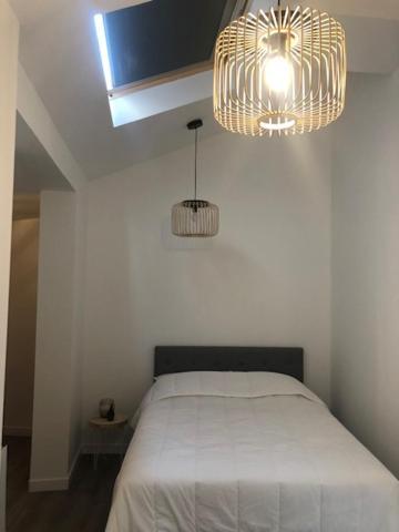 Un Coin De Verdure Dans Le Centre De St Etienne Apartment แซงต์-เอเตียน ภายนอก รูปภาพ