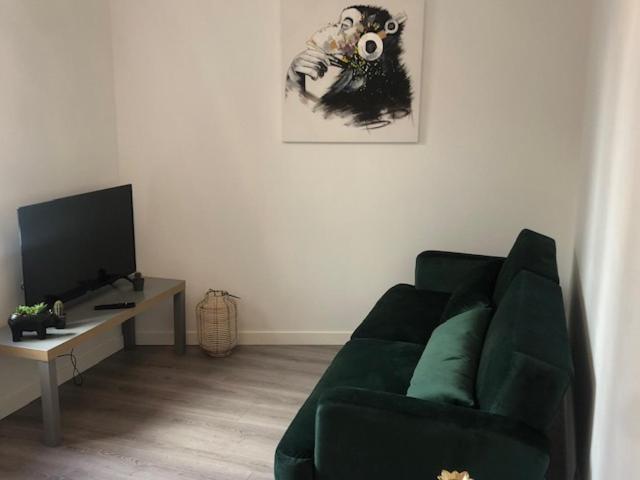 Un Coin De Verdure Dans Le Centre De St Etienne Apartment แซงต์-เอเตียน ภายนอก รูปภาพ