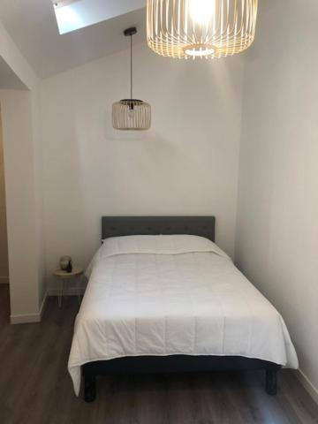 Un Coin De Verdure Dans Le Centre De St Etienne Apartment แซงต์-เอเตียน ภายนอก รูปภาพ